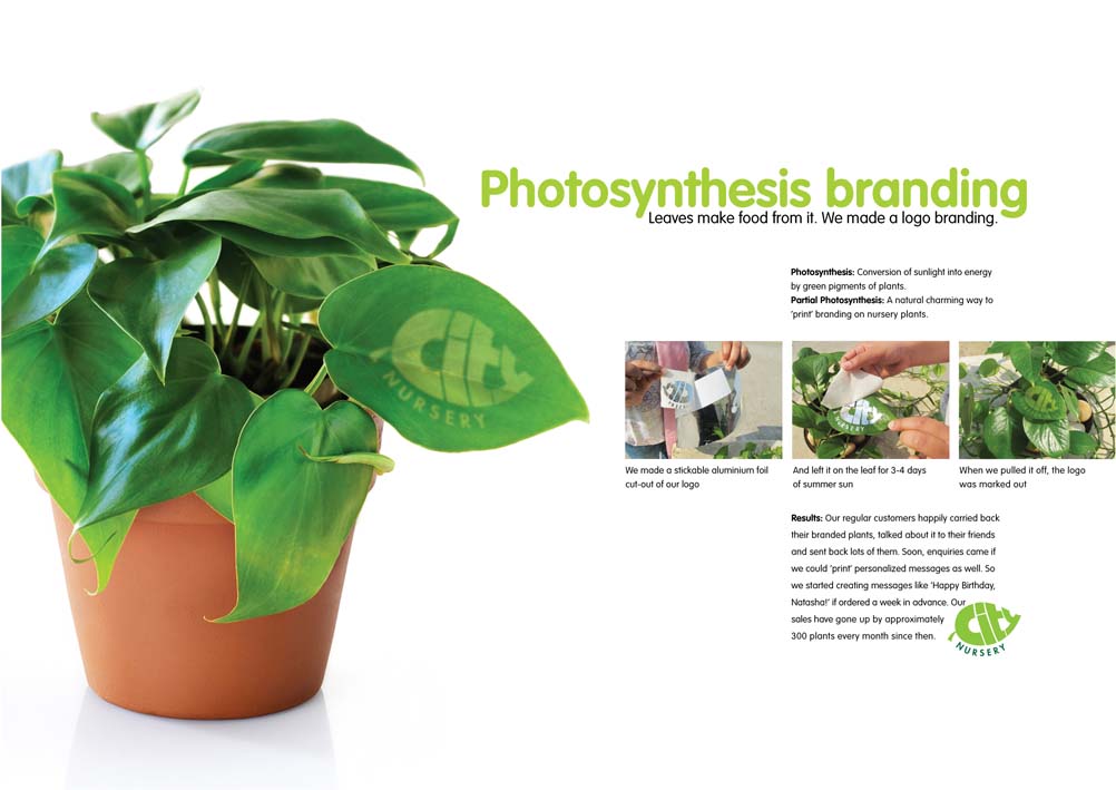 Photosynthesis_branding.jpg