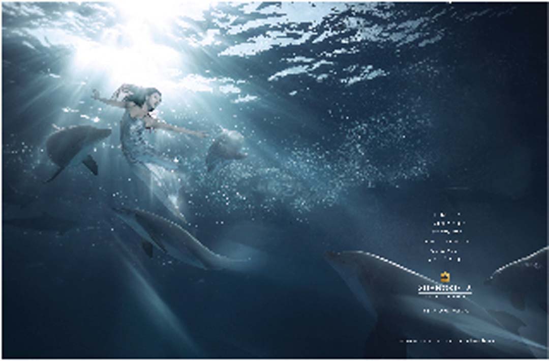 Dolphin.jpg