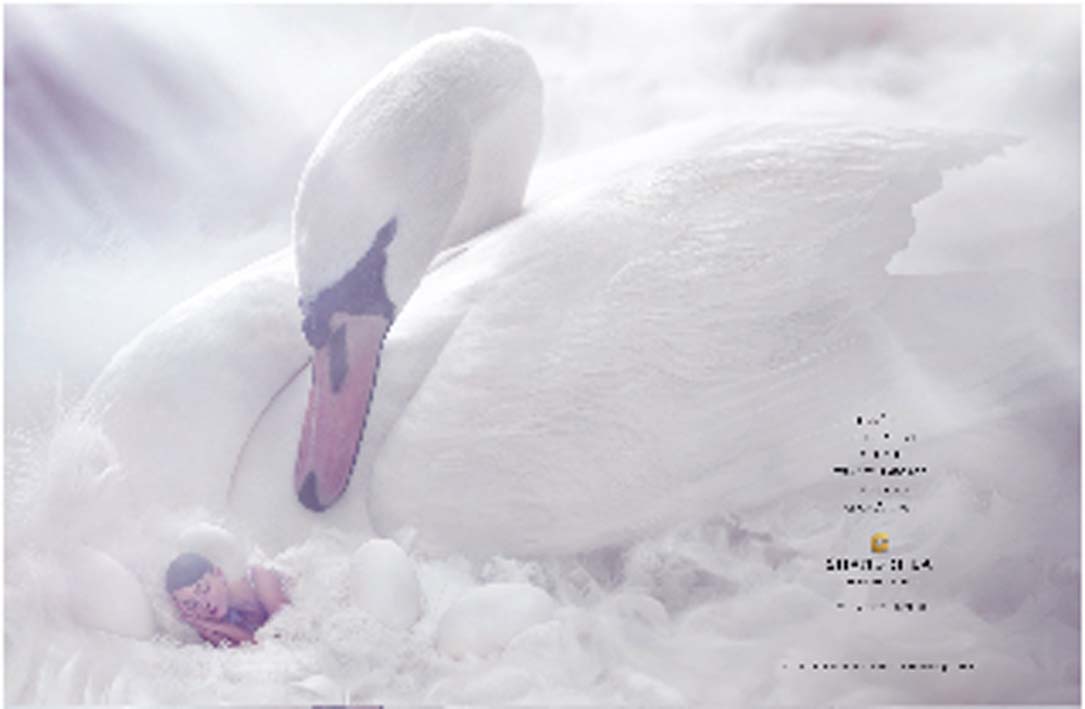 Swan.jpg