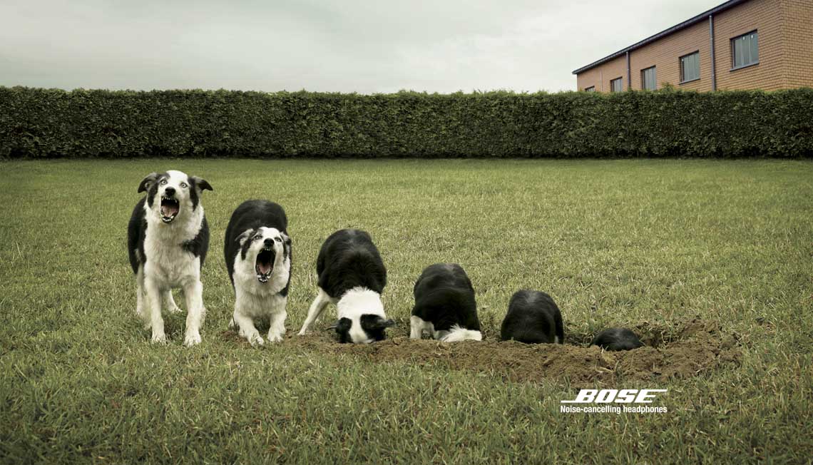 Bose2.jpg