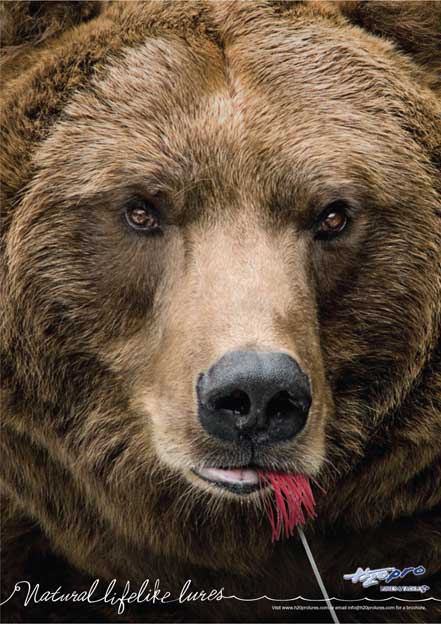 H2OPRO.bear_sml.jpg