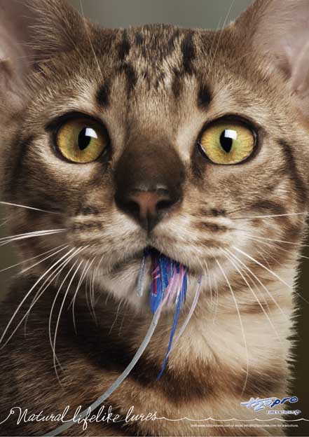 H2OPRO.cat_sml.jpg
