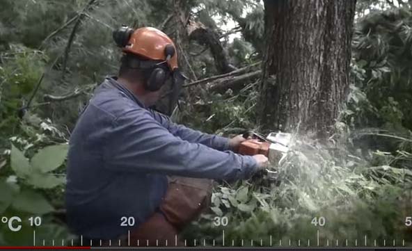 Lumberjack.jpg