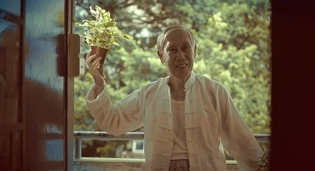 Sunlife1.jpg