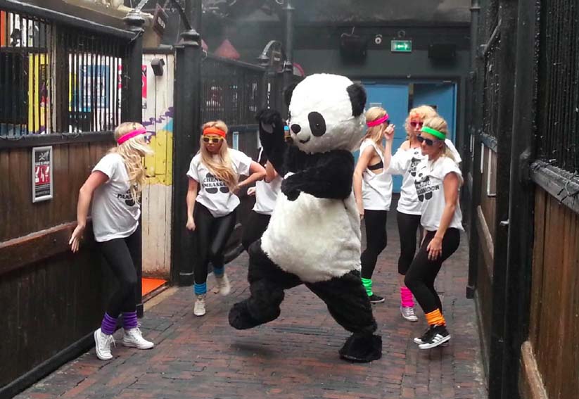 Panda.jpg
