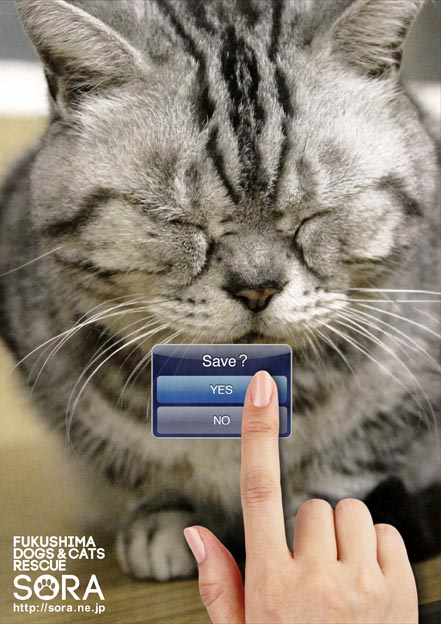 Fukushima_Animal_2.jpg