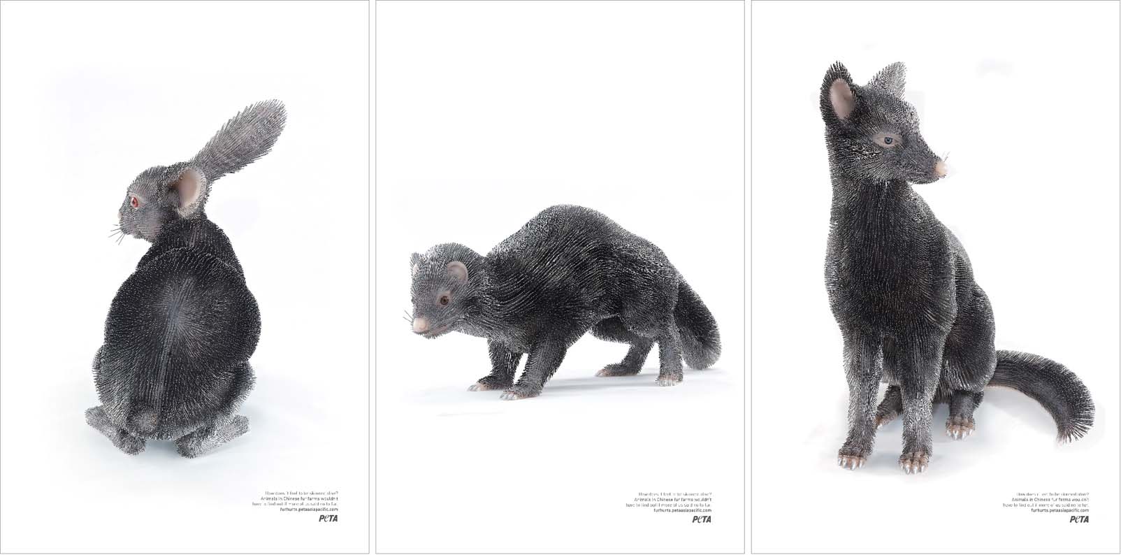 PETA Print.jpg