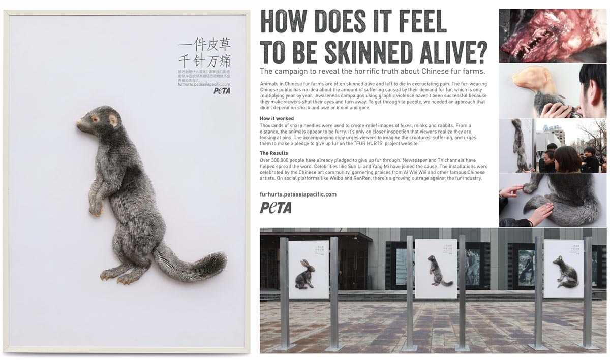 PETA_outdoor board.jpg