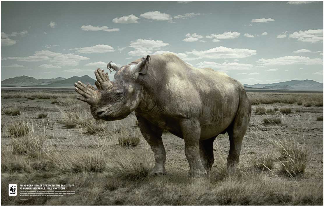 Rhino Horn_Fingernails_s.jpg