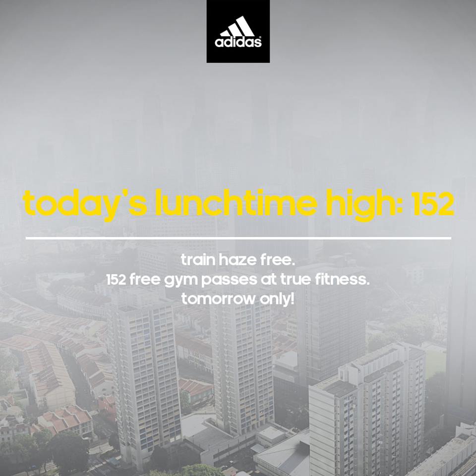 adidas_SGHaze.jpg