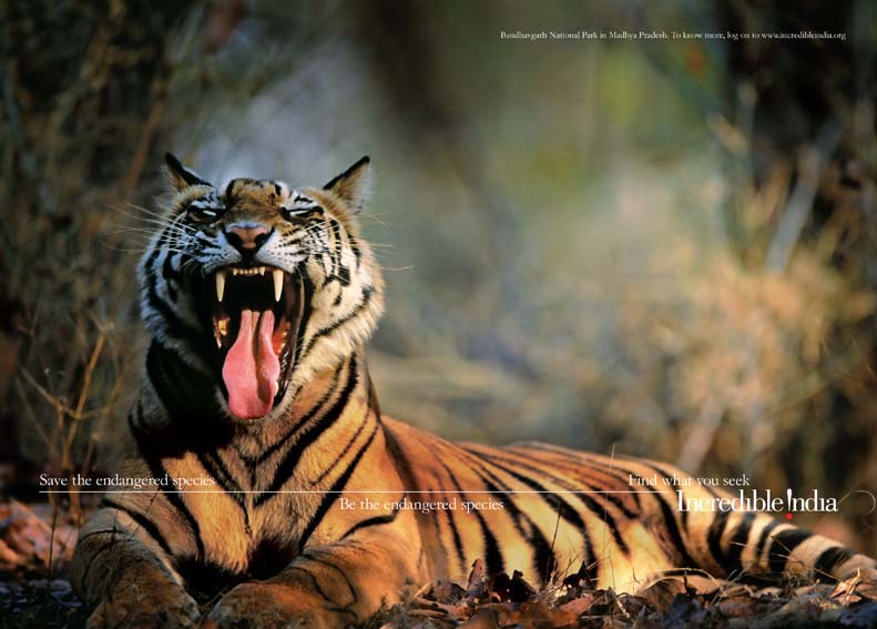 Magazine ads-08.jpg