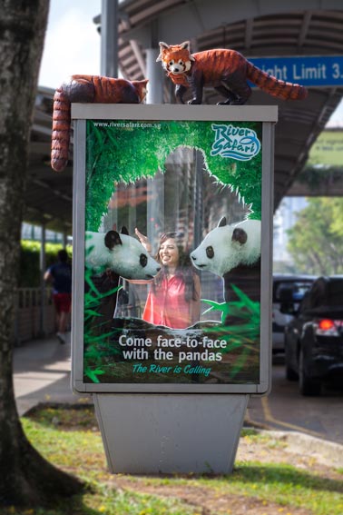 3D-Poster-Pandas.jpg