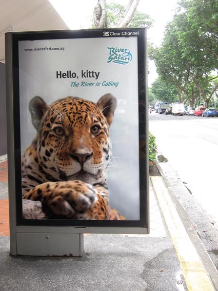 6Sheet-Jaguar.jpg