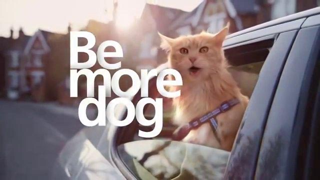 Be more dog.jpg
