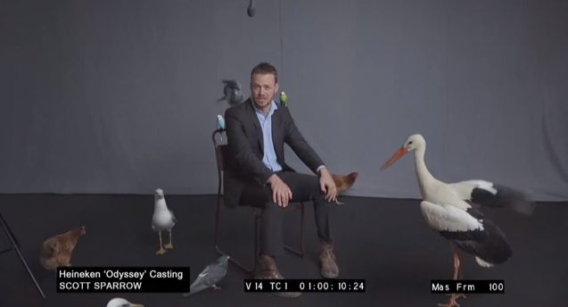 Birds.jpg