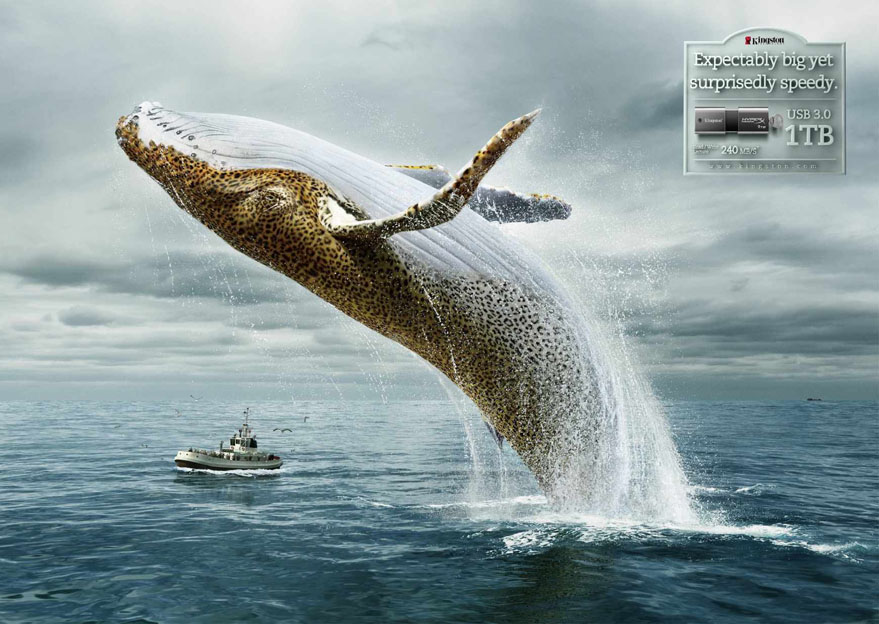 Whale-Leopard.jpg