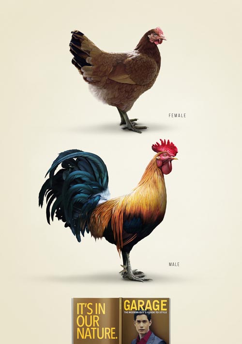 GARAGE Chicken_lores.jpg