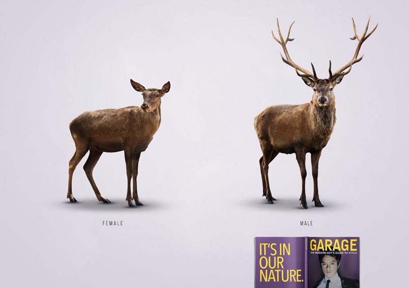 GARAGE Deer_lores.jpg