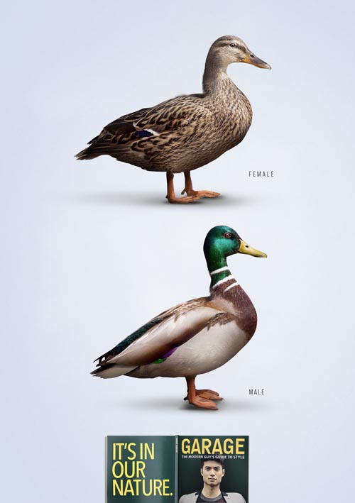 GARAGE Duck_lores.jpg