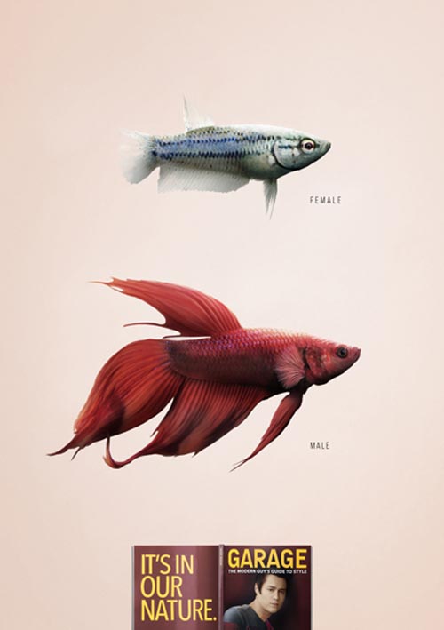 GARAGE Fish_lores.jpg