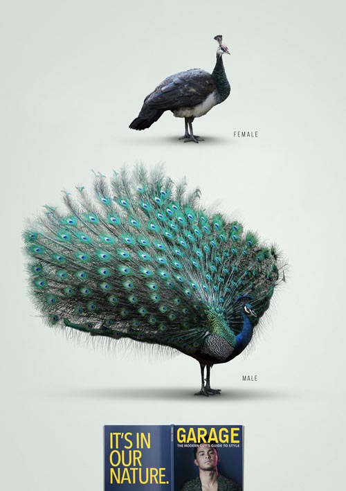 GARAGE Peacock_lores.jpg
