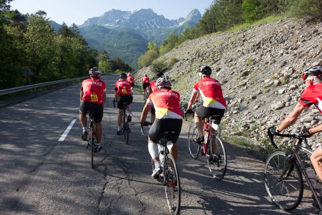 The FireFlies PR 1.jpg