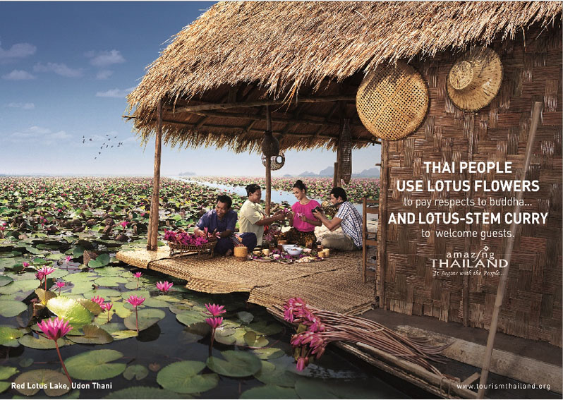 AW-TAT Lotus N-Horizon-01-1.jpg