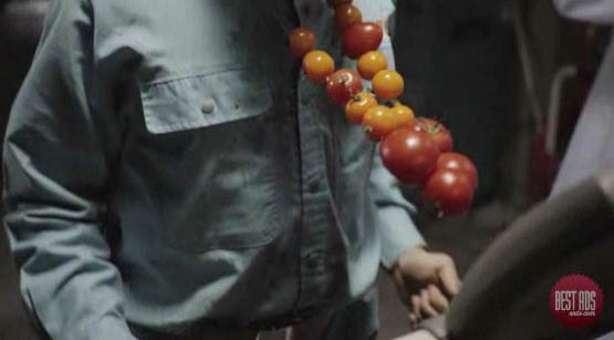 Tomatoes.jpg