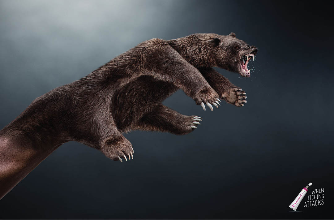 bear.jpg