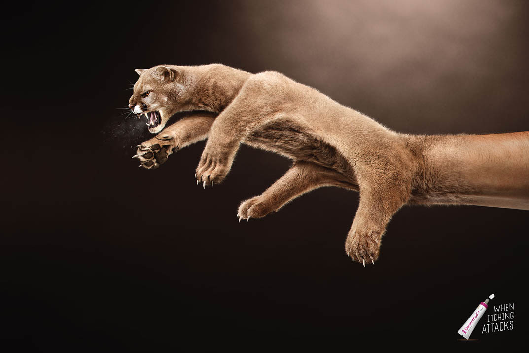 cougar.jpg