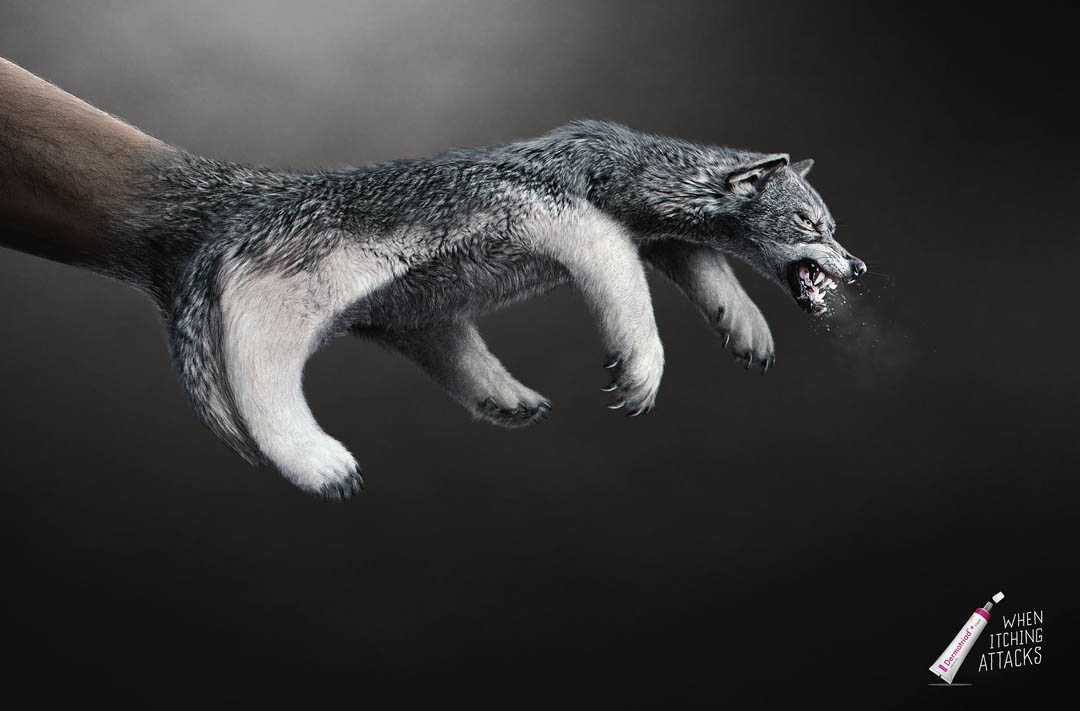 wolf.jpg