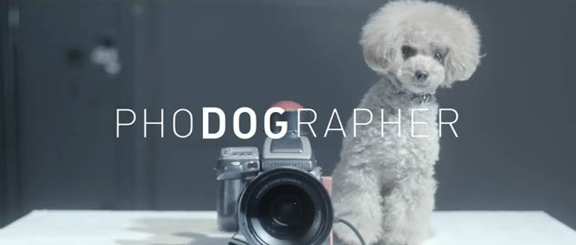 Phodographer.2.jpg