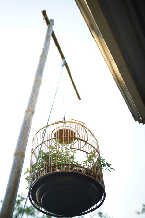 Hanging Garden_closeup.jpg