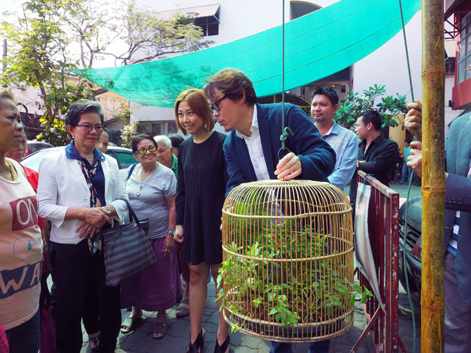 Suthisak_Hanging garden.jpg