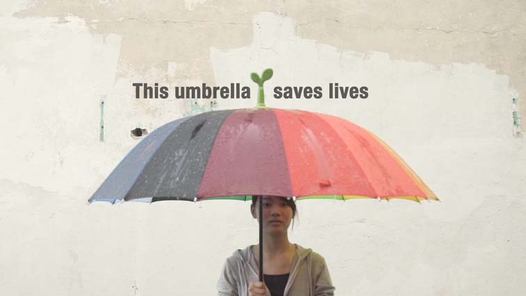 Rainsprout_1.jpg