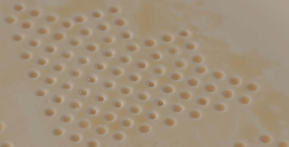 Absorbplate2.jpg