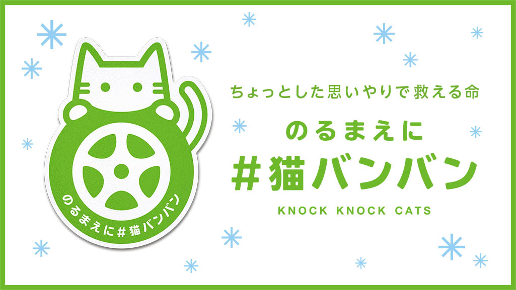 Knock Knock Key Vis.jpg