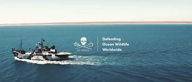 Sea Shepherd.jpg