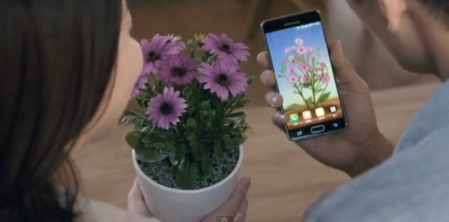 Seeds of the heart 3.jpg