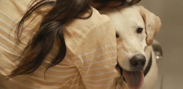 Pedigree 2.jpg