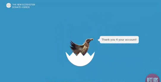 Donate 4 birds.jpg