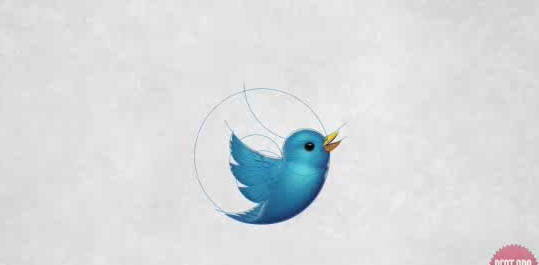 Donate 4 birds 2.jpg