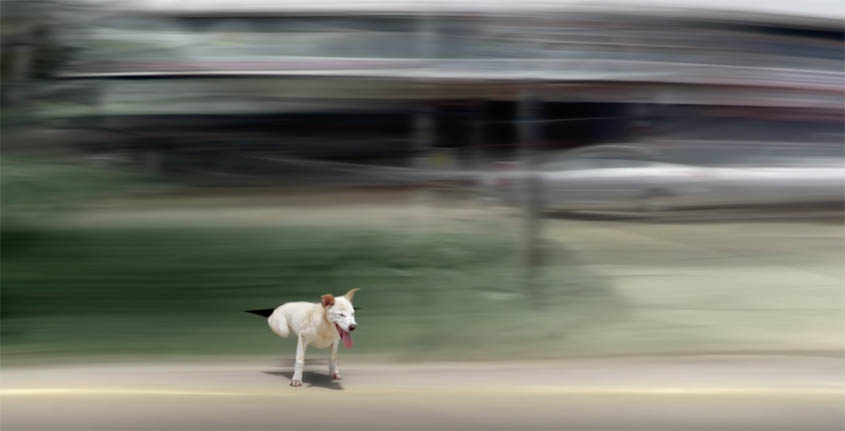 Speed Blinds You_BBDO Bangkok.jpg