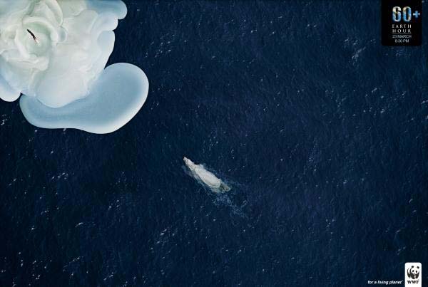 wwf_iceberg.jpg