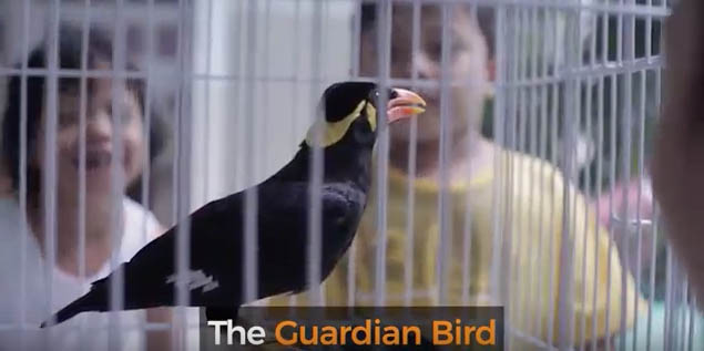Guardian Bird.jpg
