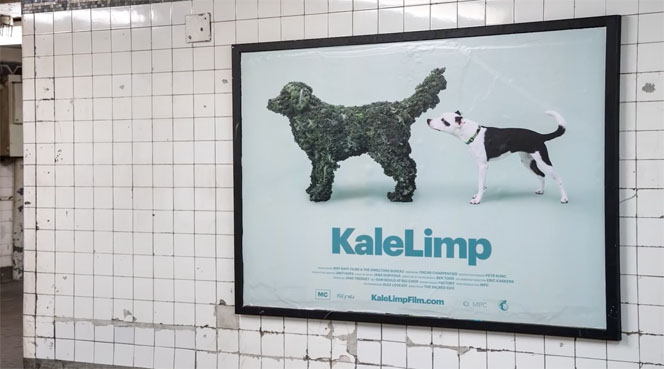 MailChimp.jpg