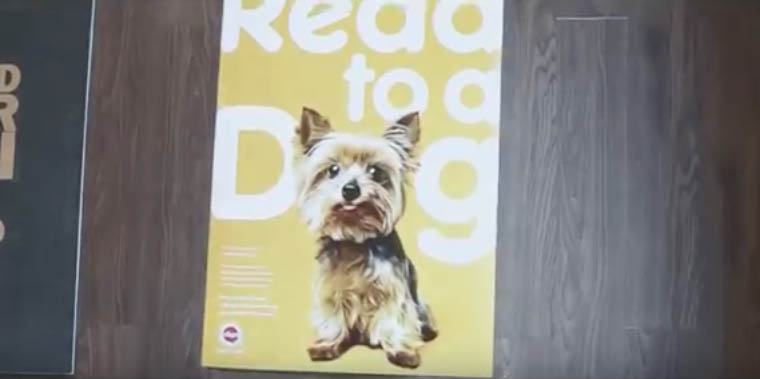 Read to a dog 2.jpg