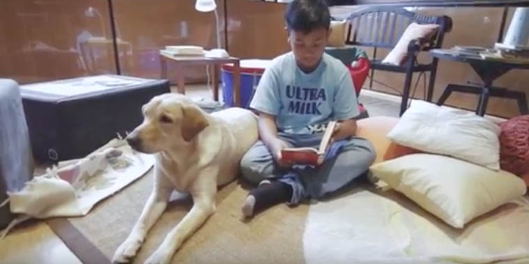 Read to a dog 3.jpg