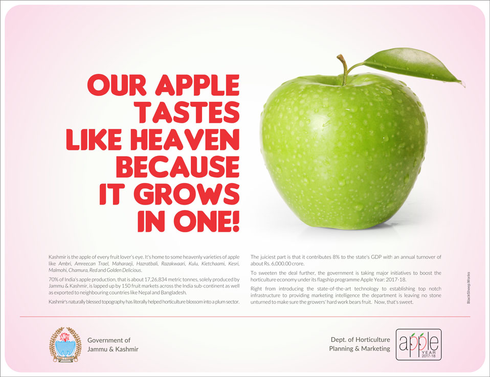 Apple_Campaign_2.jpg