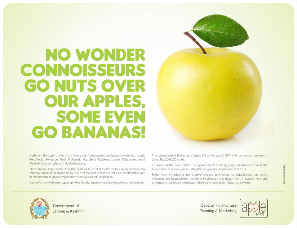 Apple_Campaign_3.jpg